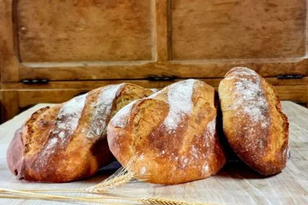 Pains bio artisanaux au levain — Boulangerie L'Arbre à Pain