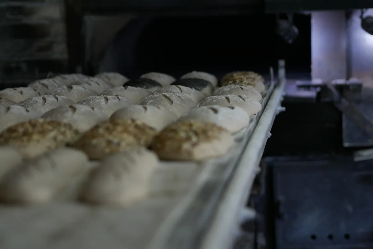 Pains au levain prêts à enfourner dans le four à bois — Boulangerie L'Arbre à Pain